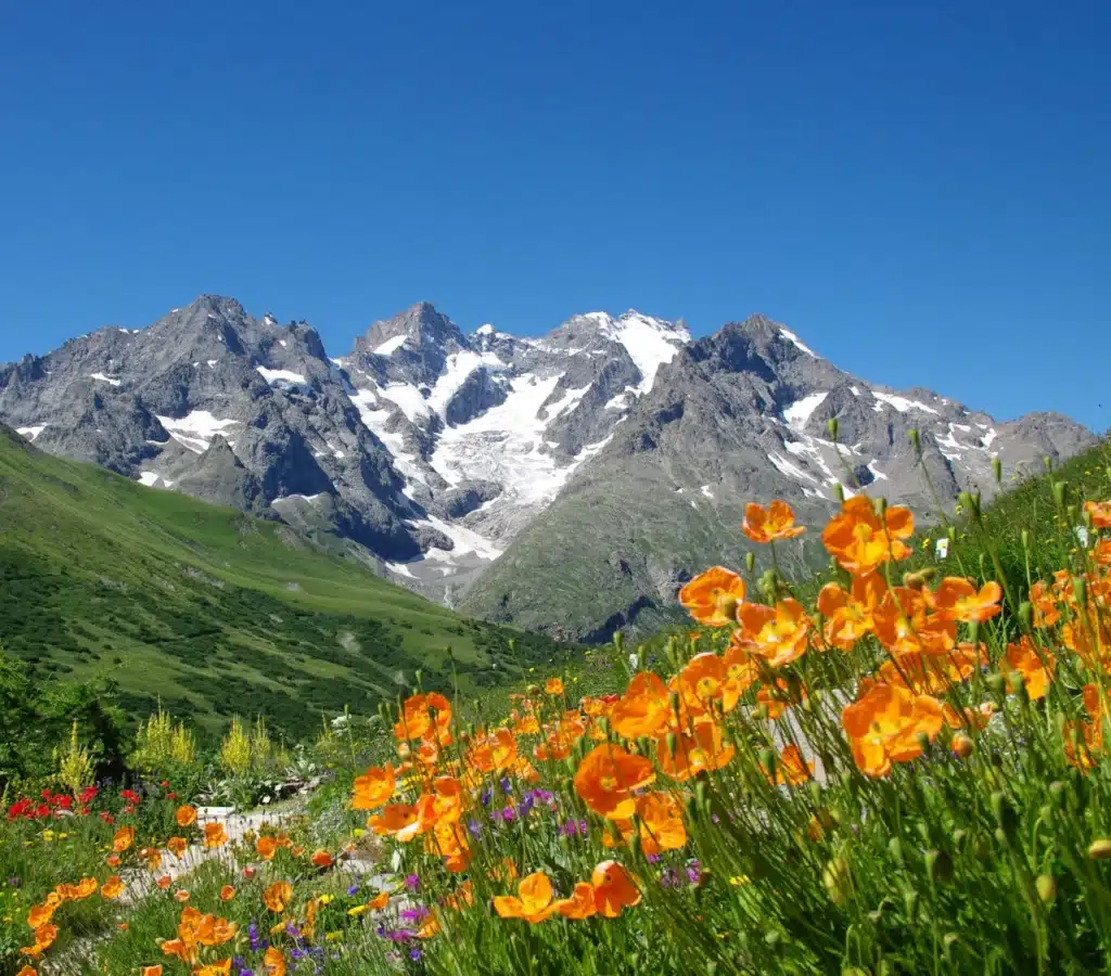 parc national ecrin