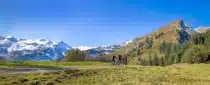 velo alpes
