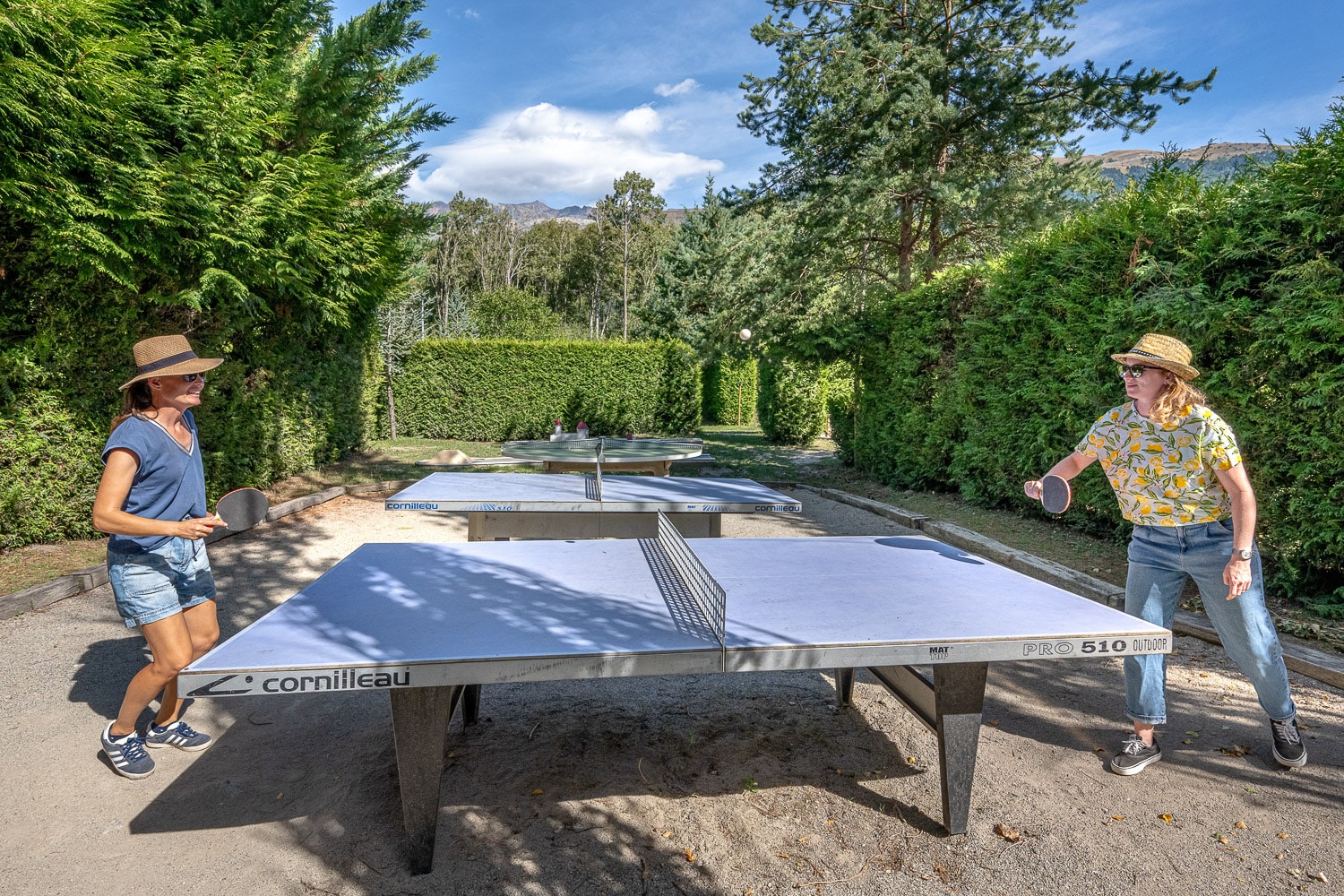Ping-Pong